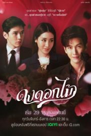 ดูซีรี่ย์ ดงดอกไม้ (2022) Desirable Flowers พากย์ไทย เต็มเรื่อง | ดูหนังออนไลน์2022