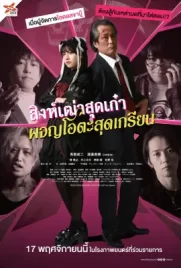 Good Morning Sleeping Lion