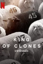 King of Clones