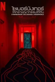 Cyberbunker The Criminal Underworld